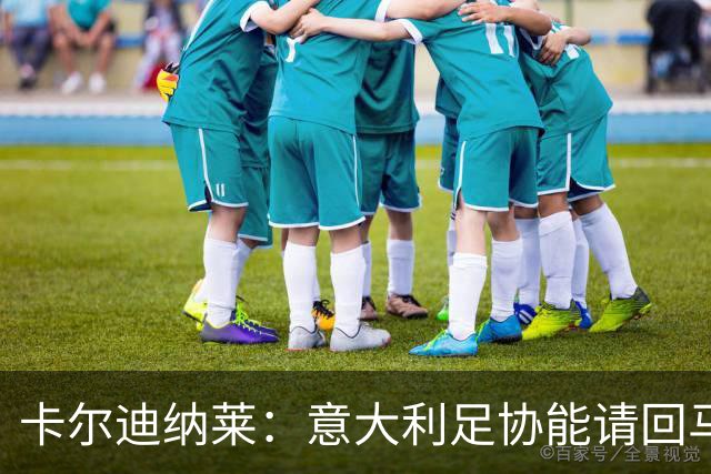 卡尔迪纳莱：意大利足协能请回马尔蒂尼，说明他们开始醒悟了